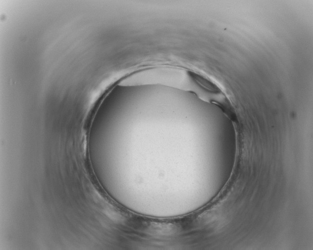 X0000087391509200705041957