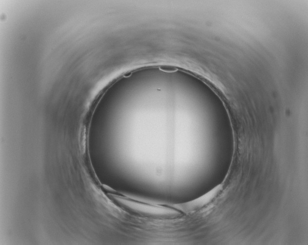 X0000087391510200705041957