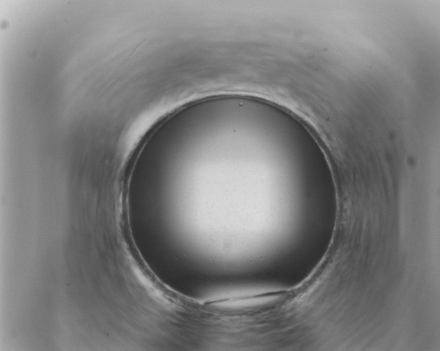 X0000087391511200705041957