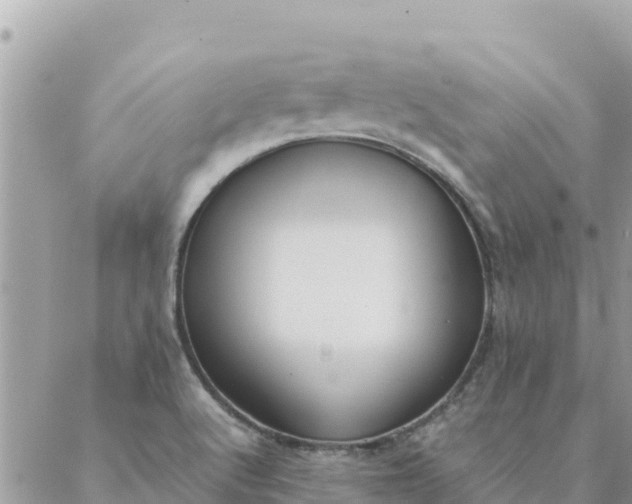 X0000087391512200705041957