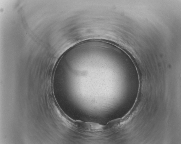 X0000087391513200705041957