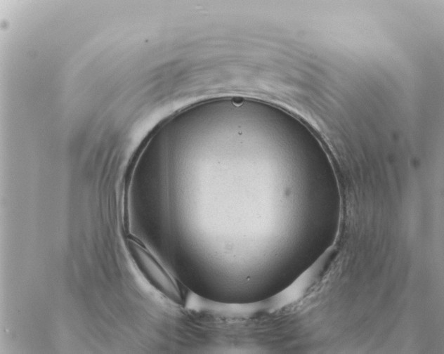 X0000087391515200705041957