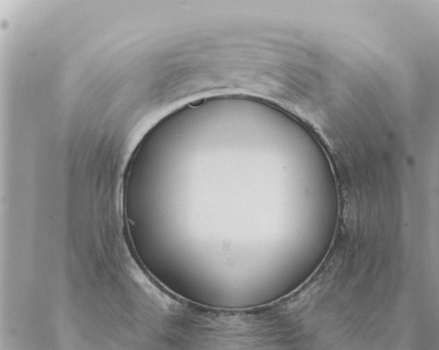 X0000087391516200705041957