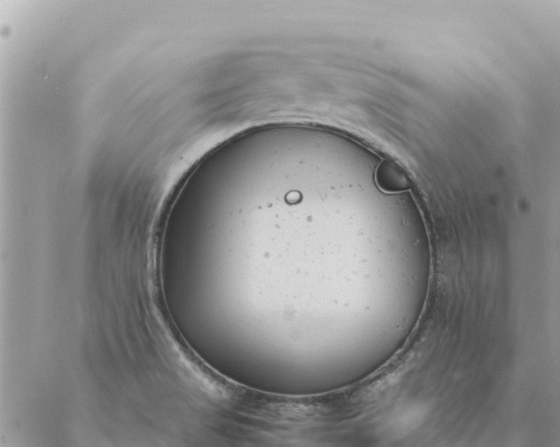 X0000087391517200705041957