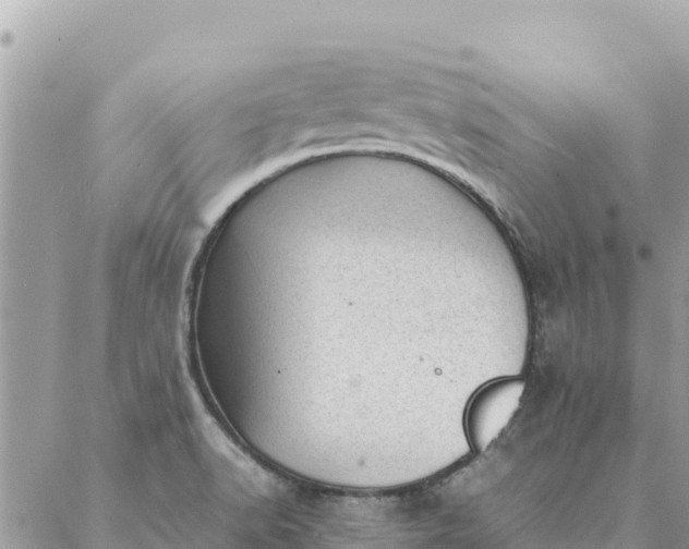 X0000087391518200705041957