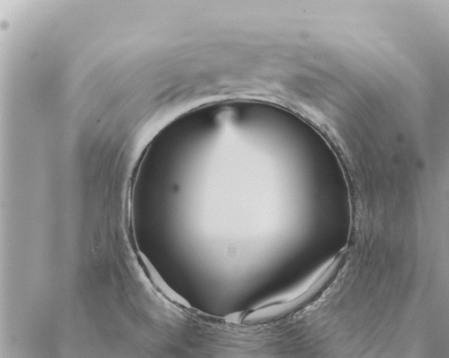 X0000087391520200705041957