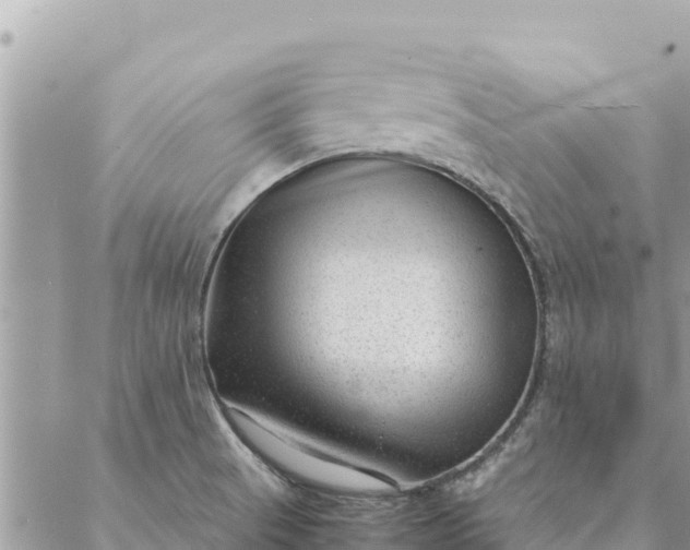 X0000087391521200705041957