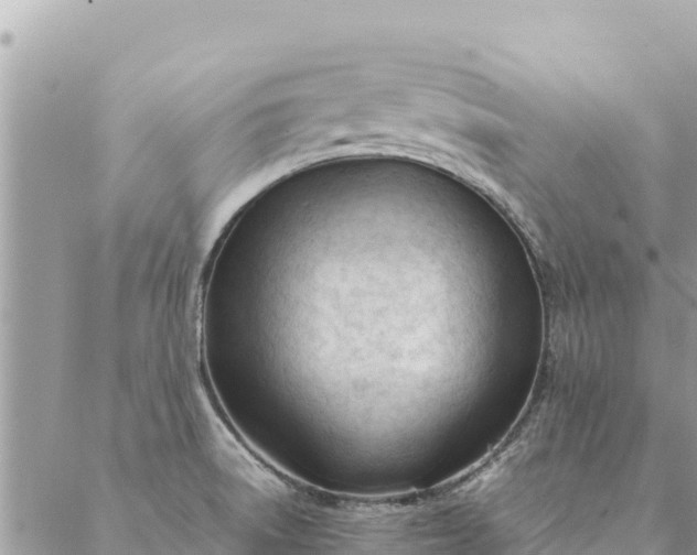 X0000087391522200705041957