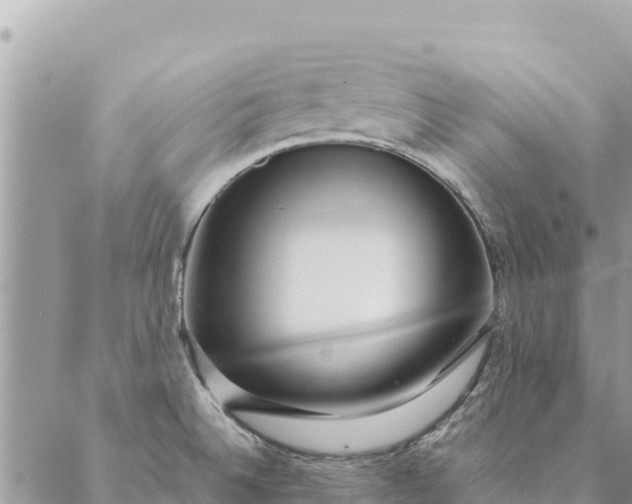 X0000087391524200705041957