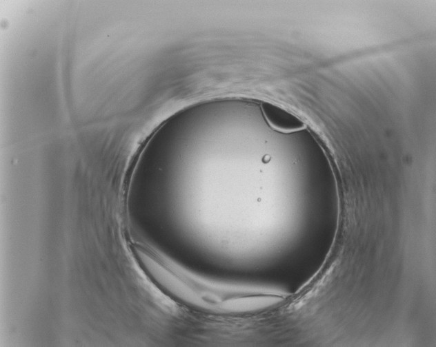 X0000087391525200705041957