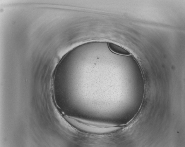 X0000087391526200705041957