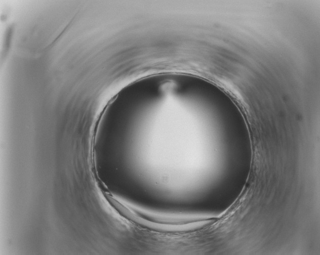 X0000087391528200705041958