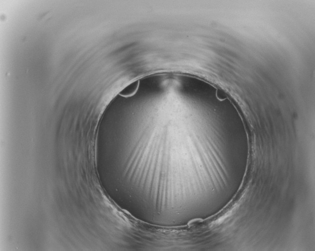 X0000087391529200705041958