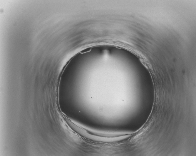 X0000087391530200705041958