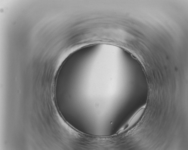 X0000087391531200705041958