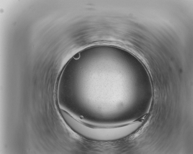 X0000087391533200705041958