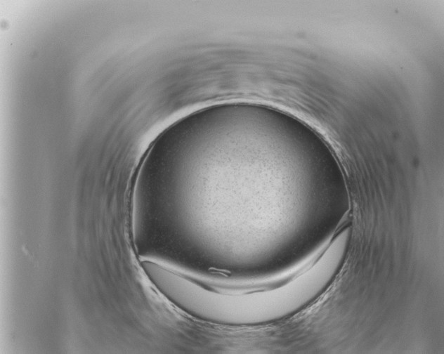 X0000087391534200705041958