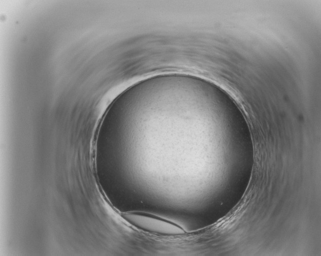 X0000087391535200705041958