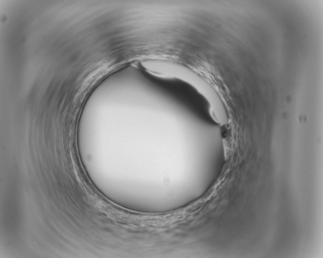 X0000087390001200705111812