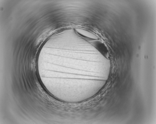 X0000087390002200705111812