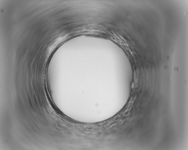 X0000087390003200705111812