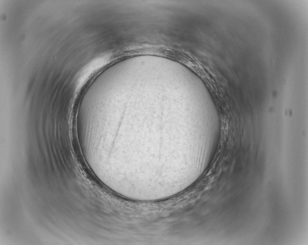 X0000087390006200705111812