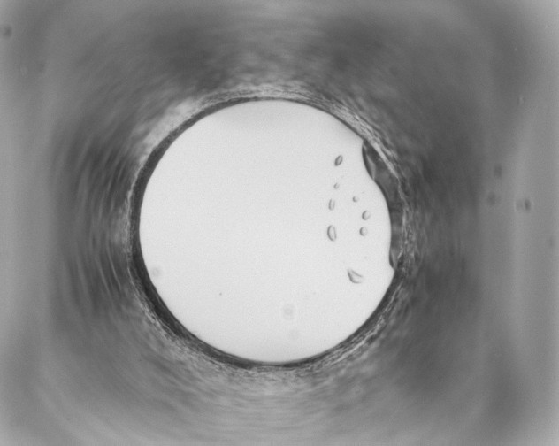 X0000087390008200705111812