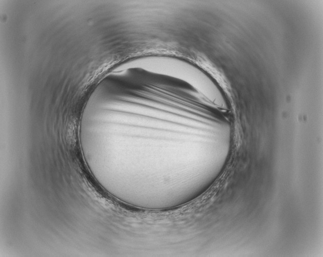 X0000087390009200705111812