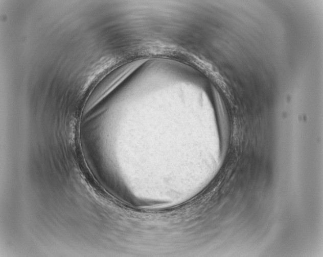 X0000087390010200705111812