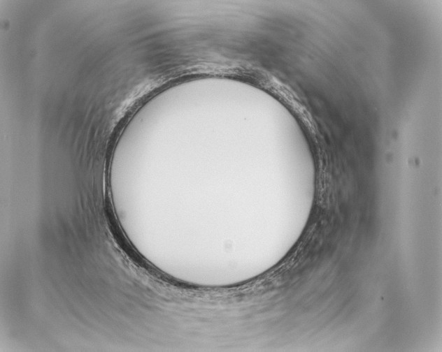 X0000087390011200705111812