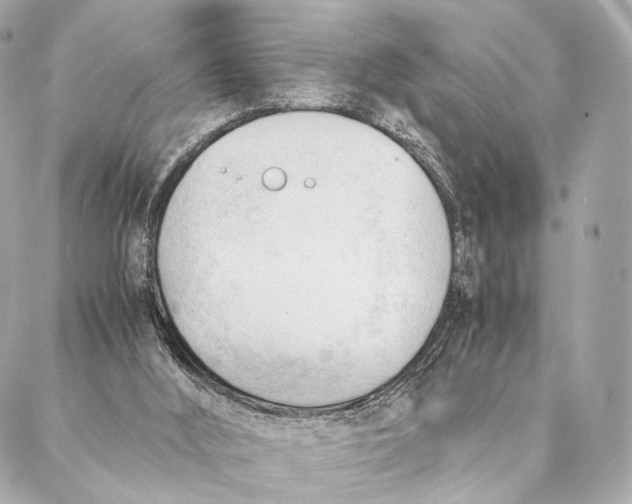 X0000087390012200705111812