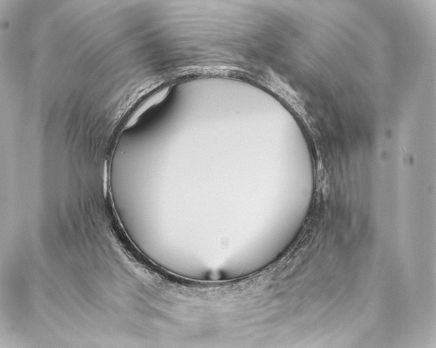 X0000087390013200705111812