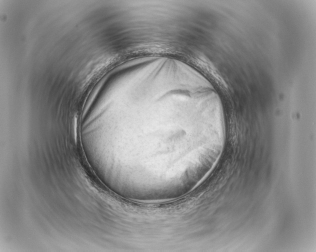 X0000087390014200705111812