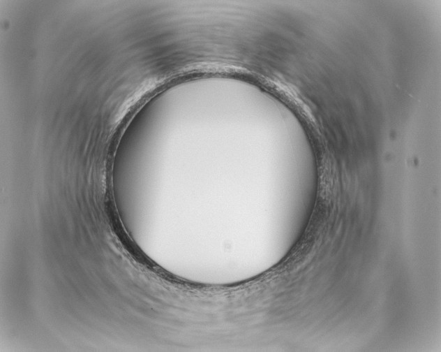 X0000087390015200705111812