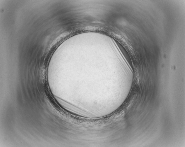 X0000087390016200705111812