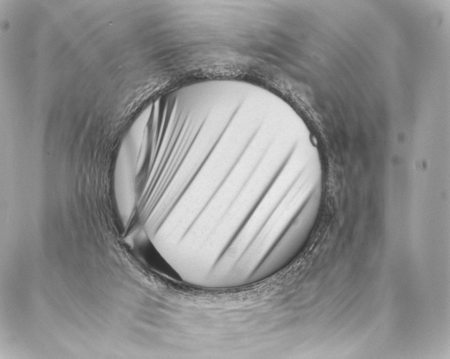 X0000087390017200705111812