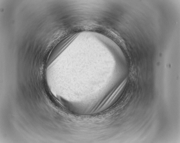 X0000087390018200705111812