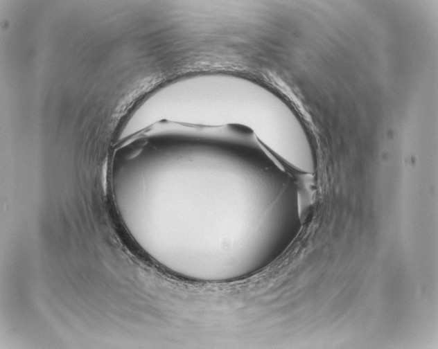 X0000087390019200705111812