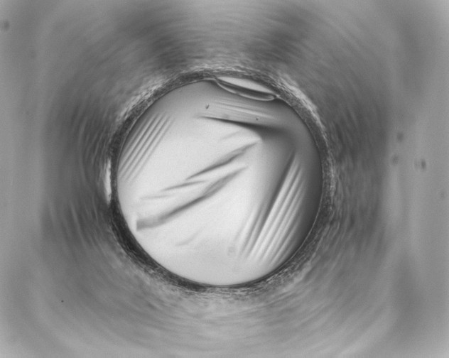 X0000087390020200705111812