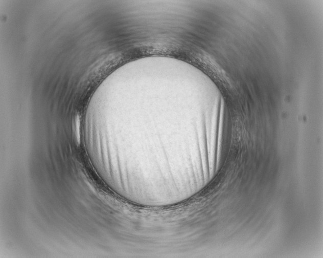 X0000087390022200705111812