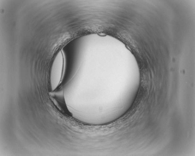 X0000087390023200705111812