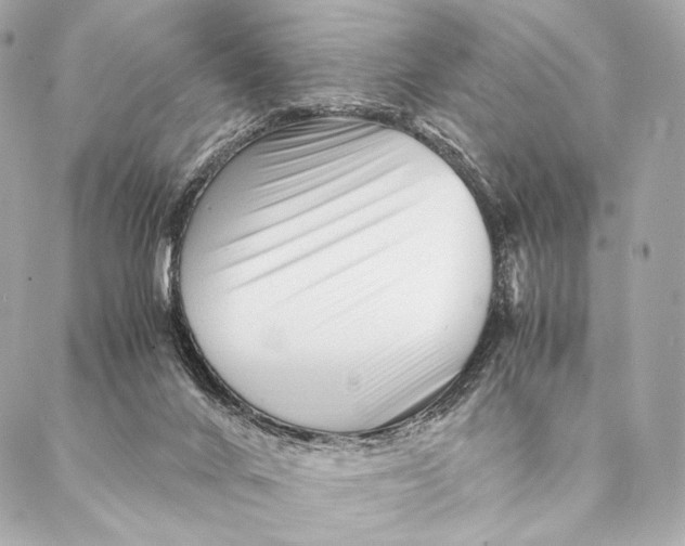 X0000087390024200705111812