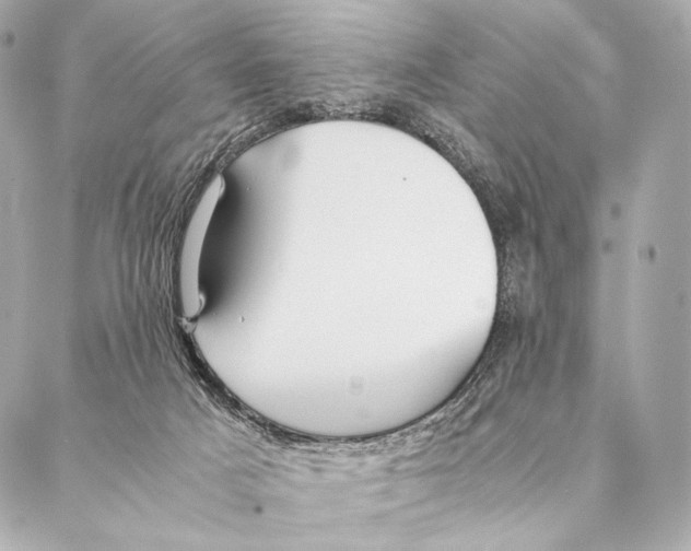 X0000087390025200705111812