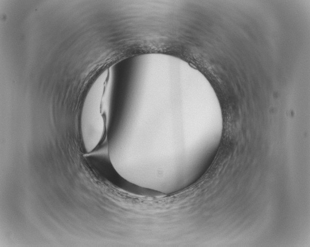 X0000087390027200705111812