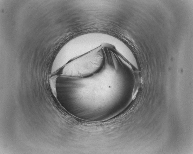 X0000087390029200705111812