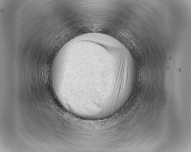 X0000087390030200705111812