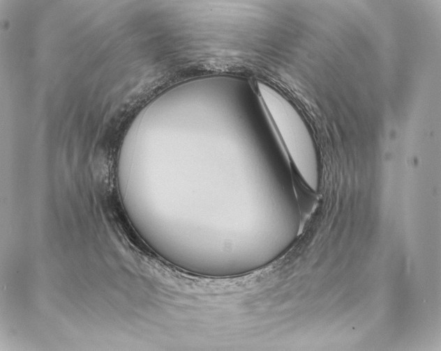 X0000087390031200705111812