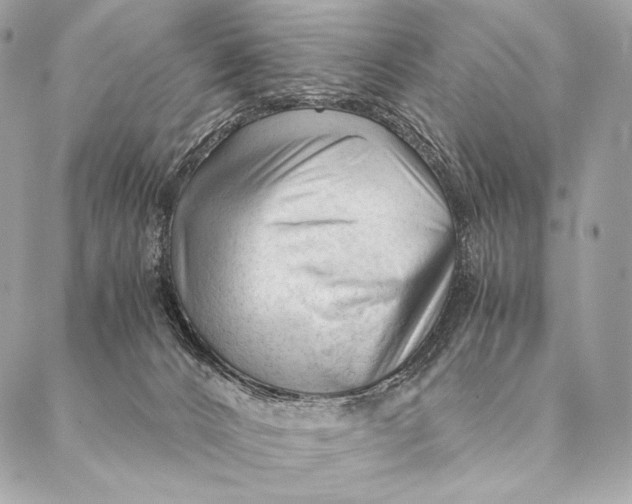 X0000087390032200705111812