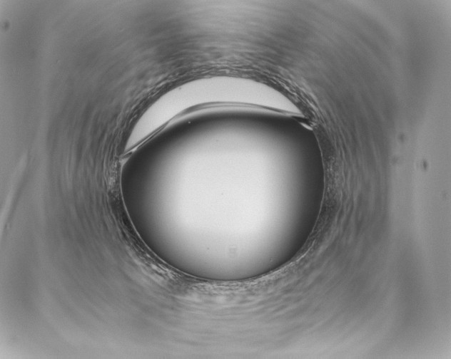 X0000087390033200705111812