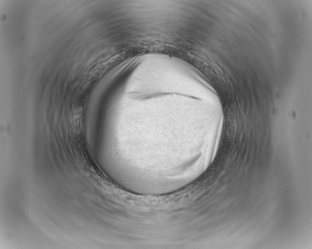 X0000087390034200705111812